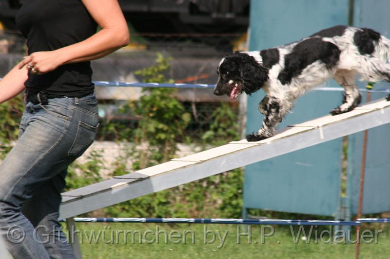 gluehwuermchen08 094 (26).jpg